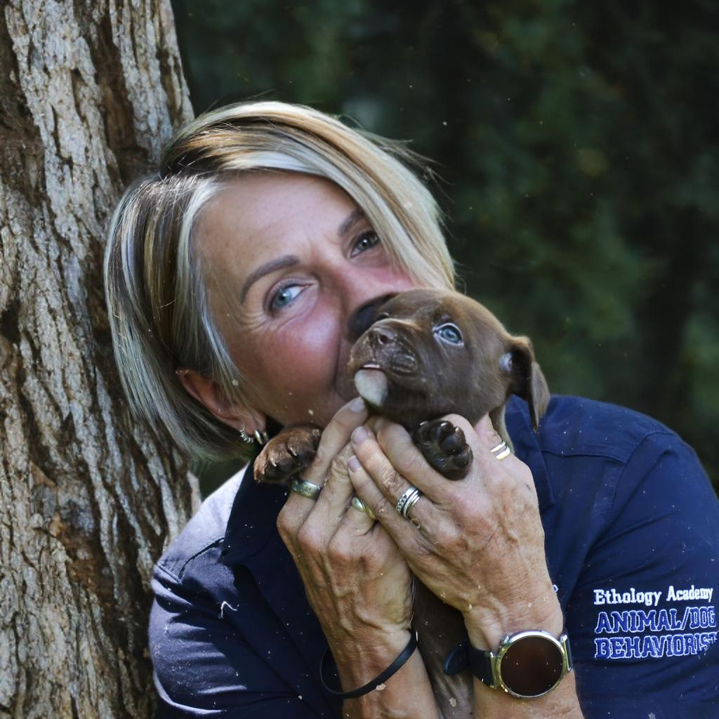 Person holding a rescued puppy